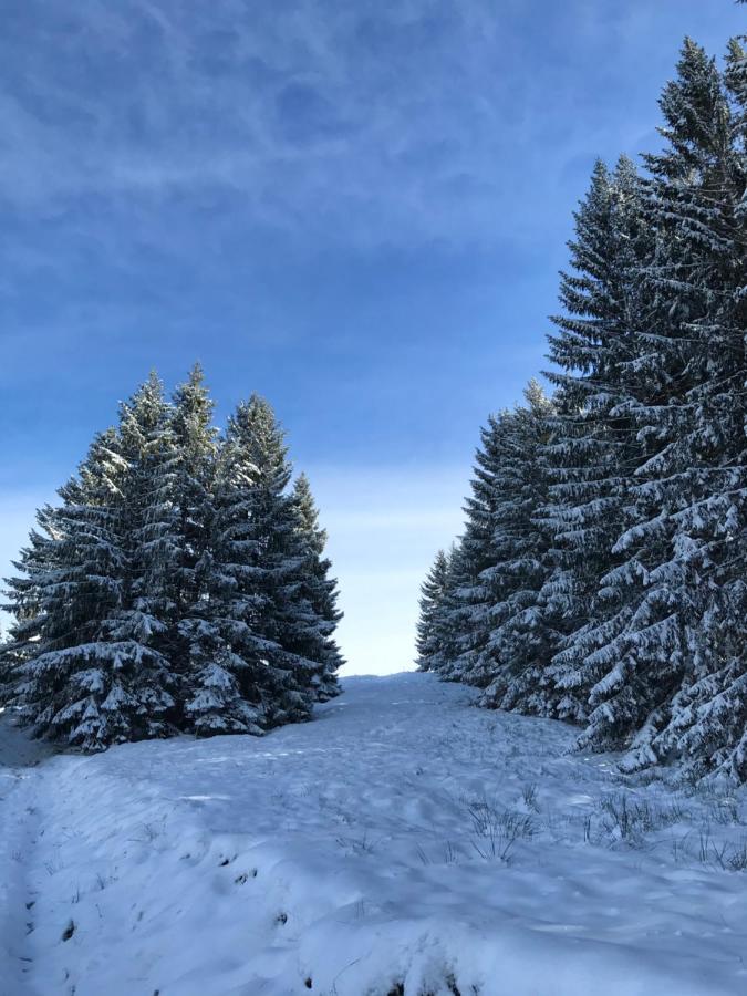 Ferienwohnung Morgentau Am Rande Der Wildnis Sibratsgfäll Esterno foto